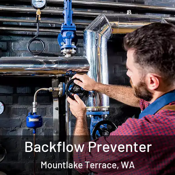  Backflow Preventer Mountlake Terrace, WA