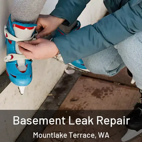  Basement Leak Repair Mountlake Terrace, WA