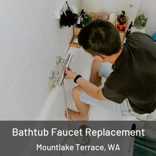  Bathtub Faucet Replacement Mountlake Terrace, WA