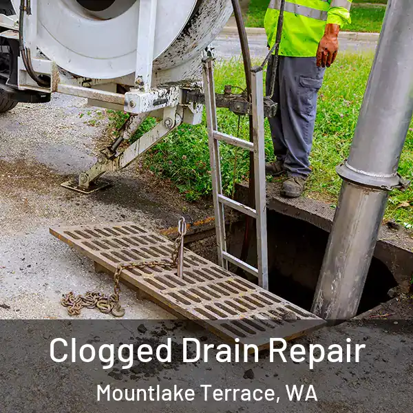  Clogged Drain Repair Mountlake Terrace, WA