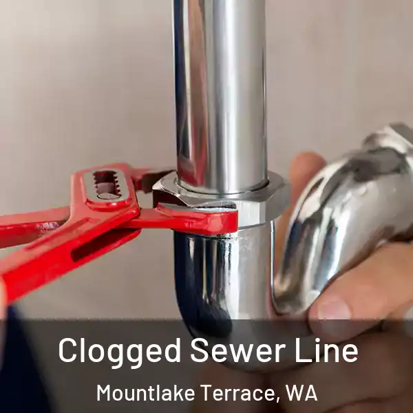  Clogged Sewer Line Mountlake Terrace, WA