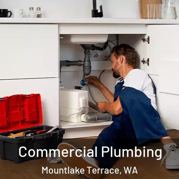  Commercial Plumbing Mountlake Terrace, WA