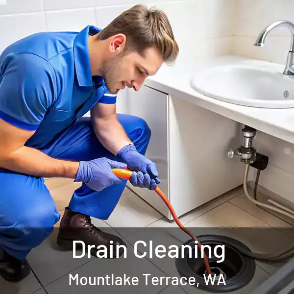  Drain Cleaning Mountlake Terrace, WA