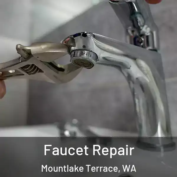  Faucet Repair Mountlake Terrace, WA