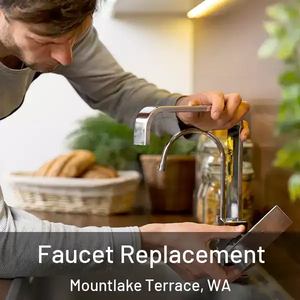  Faucet Replacement Mountlake Terrace, WA