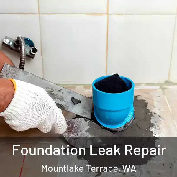  Foundation Leak Repair Mountlake Terrace, WA
