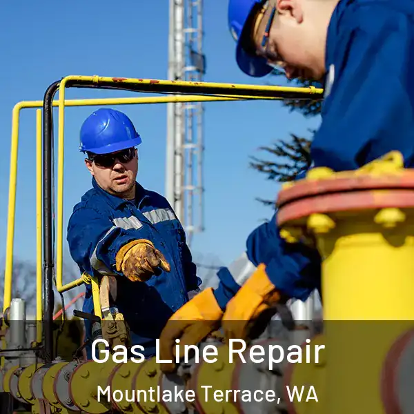  Gas Line Repair Mountlake Terrace, WA