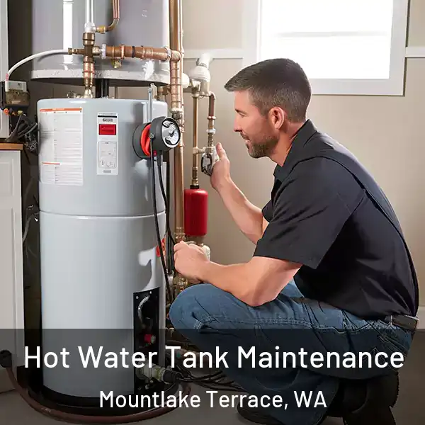  Hot Water Tank Maintenance Mountlake Terrace, WA