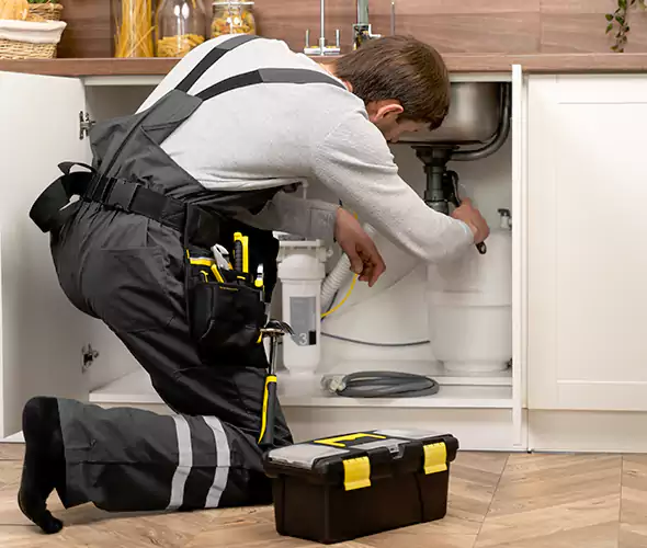Certified Plumbers for Insinkerator Installation in Mountlake Terrace