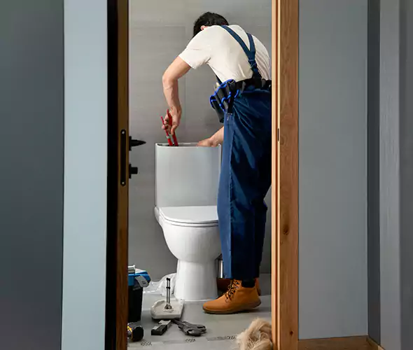 Professional Plumbers for Toilet Bowl Replacement in Mountlake Terrace, WA: Schedule Affordable Toilet Replacement Services With Us