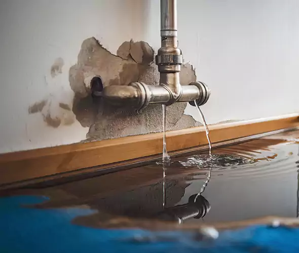 Professional Water Damage Restoration Experts in Mountlake Terrace, WA — Fast, Reliable & Certified