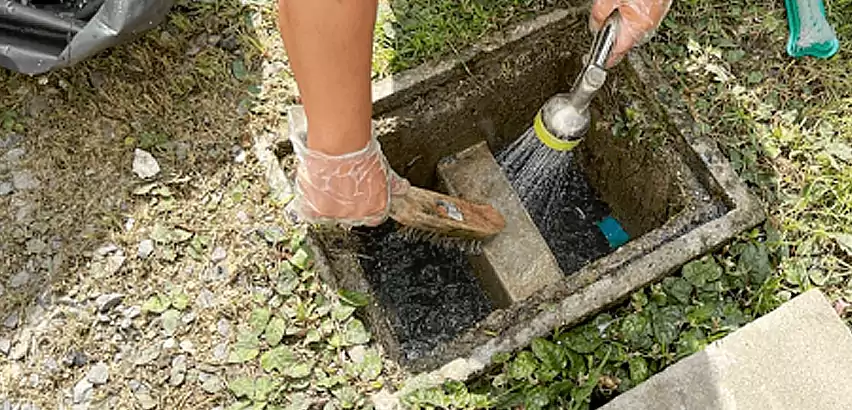 Professional Grease Trap Cleaning Services in Mountlake Terrace, WA