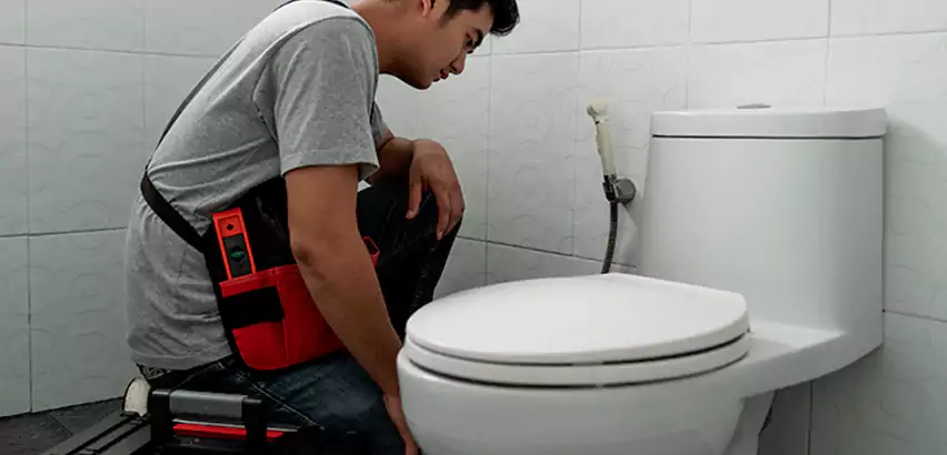 Toilet Repair in Mountlake Terrace