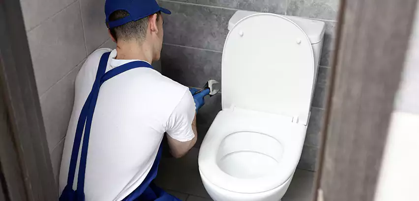 Toilet Lid Replacement in Mountlake Terrace