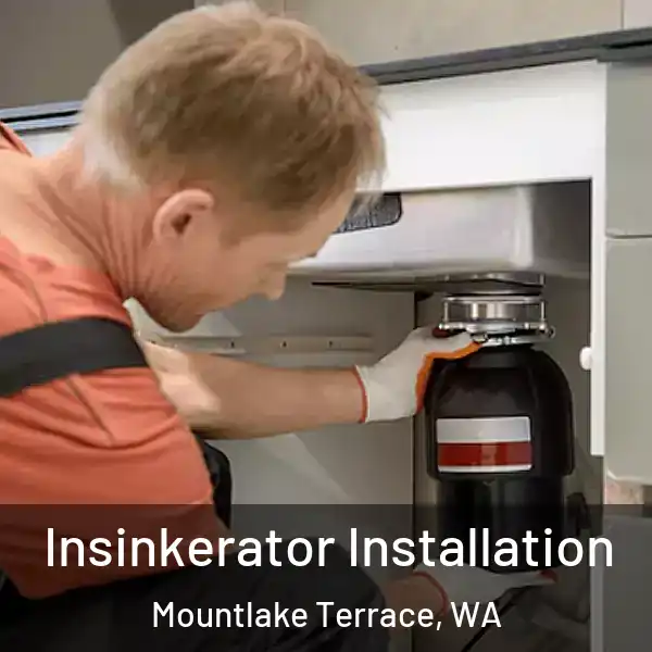  Insinkerator Installation Mountlake Terrace, WA