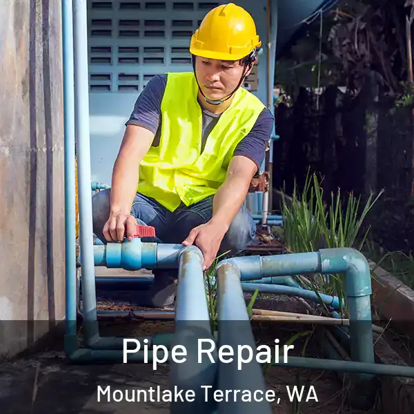  Pipe Repair Mountlake Terrace, WA