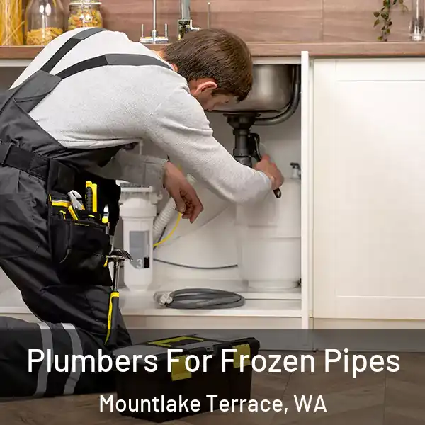  Plumbers For Frozen Pipes Mountlake Terrace, WA