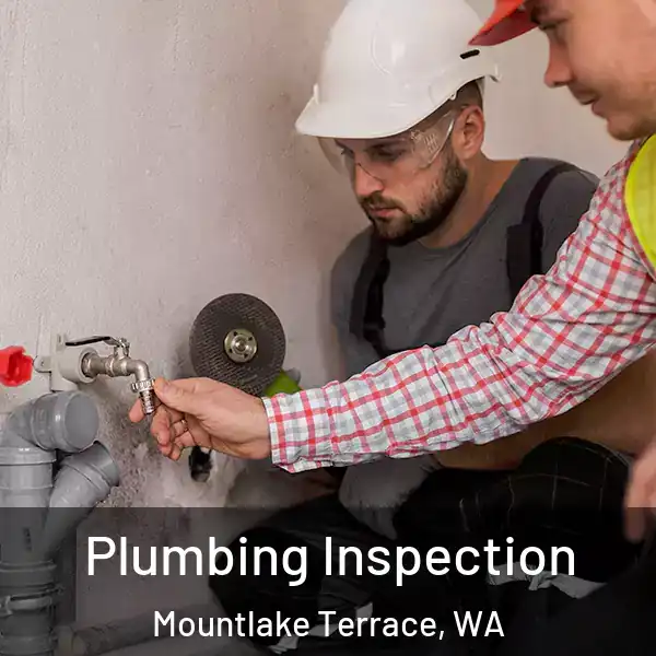  Plumbing Inspection Mountlake Terrace, WA