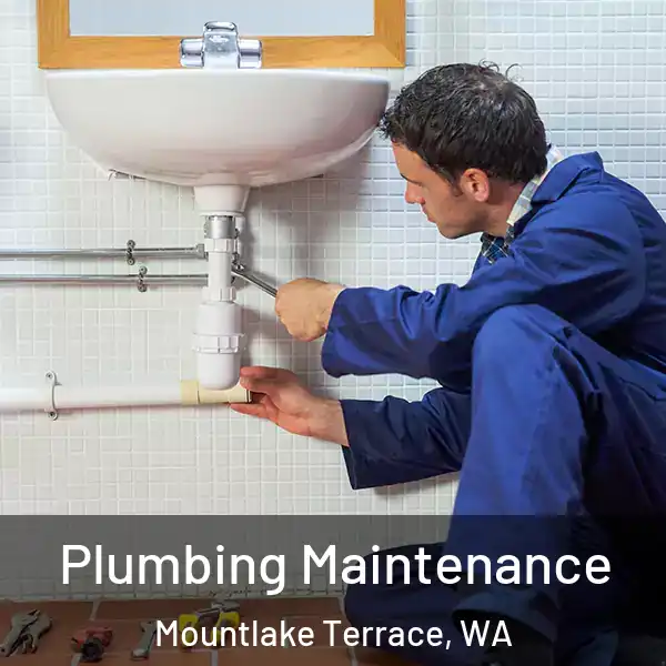  Plumbing Maintenance Mountlake Terrace, WA