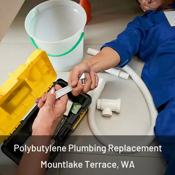  Polybutylene Plumbing Replacement Mountlake Terrace, WA