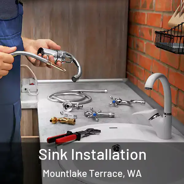  Sink Installation Mountlake Terrace, WA