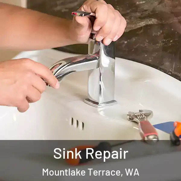  Sink Repair Mountlake Terrace, WA