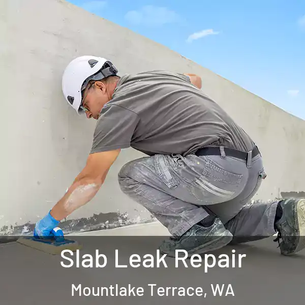  Slab Leak Repair Mountlake Terrace, WA