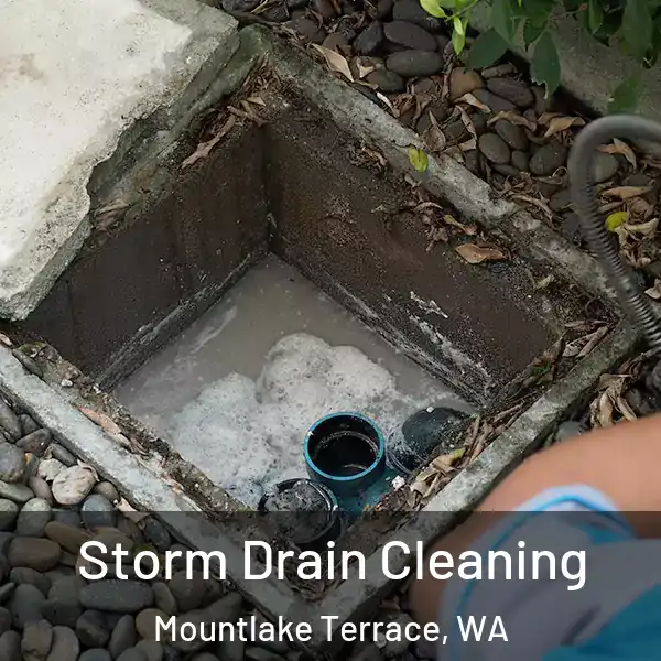  Storm Drain Cleaning Mountlake Terrace, WA