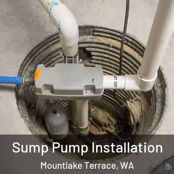  Sump Pump Installation Mountlake Terrace, WA