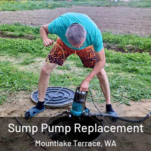  Sump Pump Replacement Mountlake Terrace, WA