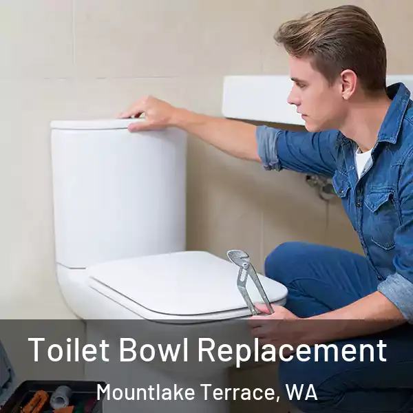  Toilet Bowl Replacement Mountlake Terrace, WA