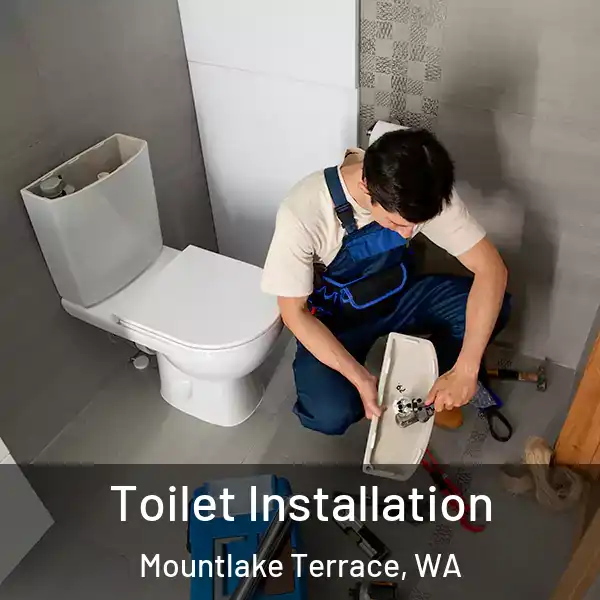  Toilet Installation Mountlake Terrace, WA