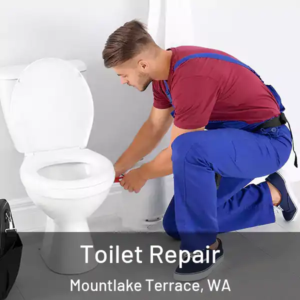  Toilet Repair Mountlake Terrace, WA