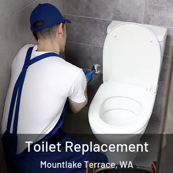  Toilet Replacement Mountlake Terrace, WA