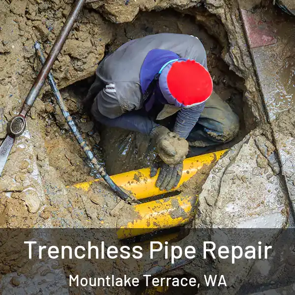  Trenchless Pipe Repair Mountlake Terrace, WA