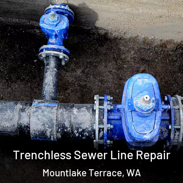  Trenchless Sewer Line Repair Mountlake Terrace, WA