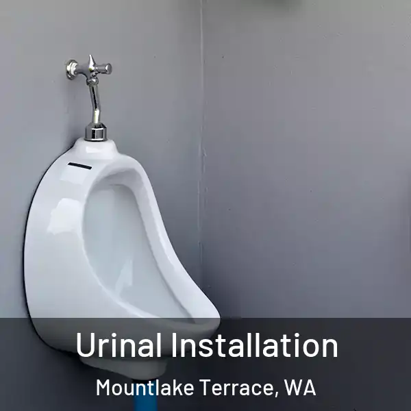  Urinal Installation Mountlake Terrace, WA