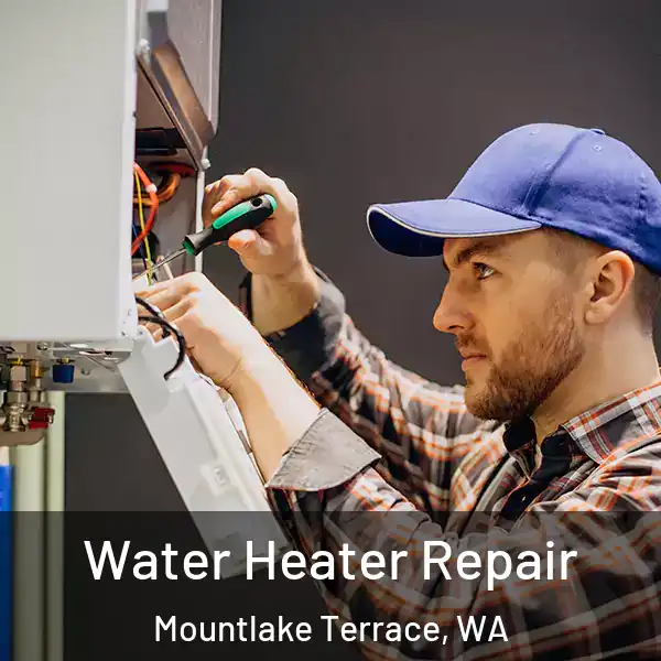  Water Heater Repair Mountlake Terrace, WA