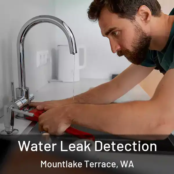  Water Leak Detection Mountlake Terrace, WA