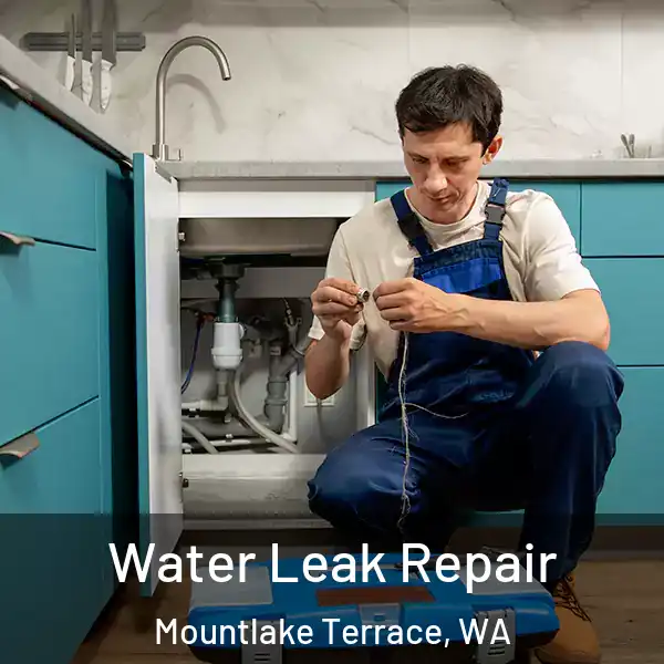  Water Leak Repair Mountlake Terrace, WA